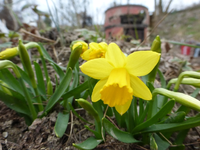 P1280932.webp