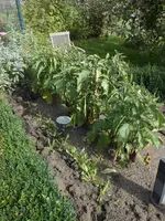 DSCN0815.webp