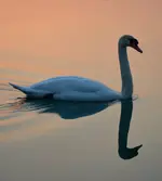 DSC_0173.webp