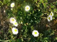 k-P1080520.webp