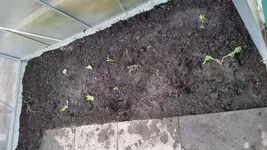 20150312_181213[1].webp