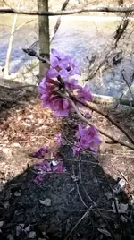 WP_20150315_002.webp