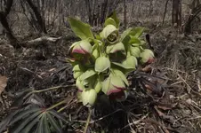 DSCF0405.webp