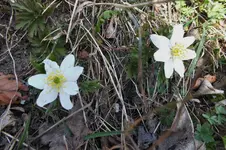 DSCF0429 (2).webp