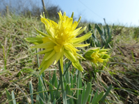 P1290418.webp