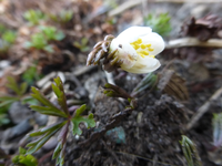 P1290487.webp