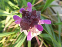 P1290267.webp