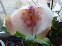 P1290182.webp