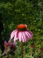 DSCN1362.webp
