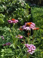 DSCN1393.webp