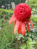 DSCN1244.webp