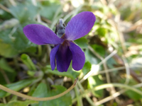 P1290300.webp
