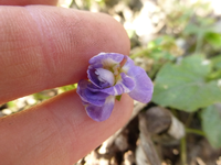 P1290291.webp