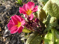 P1290204.webp