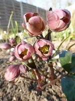 P1290250.webp