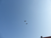 P1290251.webp