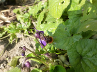 P1290366.webp
