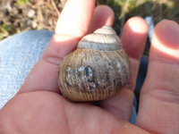P1290431.webp