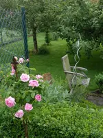 DSCN0323.webp