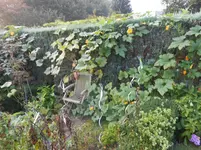 DSCN1897.webp