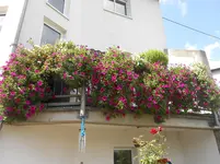 DSCN1831.webp