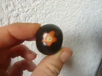 CIMG3396.webp CIMG3396.webp