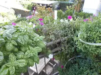 DSCN1413.webp