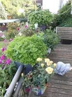 DSCN1415.webp