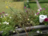 DSCN1416.webp