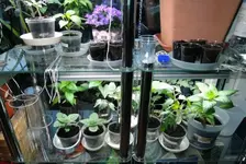 DSCN4696.2.webp