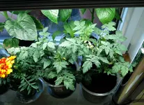 DSCN4699.2.webp