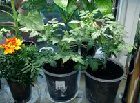 DSCN4701.2.webp