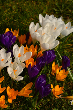 DSC_3873.webp
