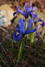 DSC_3877.webp