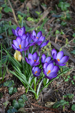 DSC_3883.webp