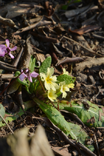 DSC_3888.webp