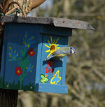 Blaumeise vor Fly Inn_Hotel_multicolor2_640.webp