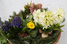 _DSC7845.webp