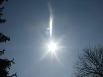 P1290518.webp