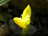 DSCN7292.webp