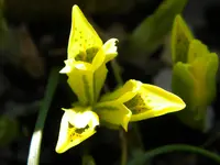 DSCN7293.webp
