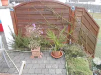 DSCN2137.webp