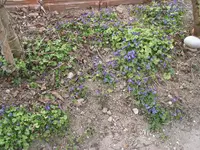 002.webp