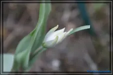 comp_DSC02895.webp