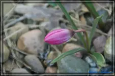 comp_DSC02897.webp