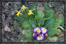 comp_DSC02894.webp