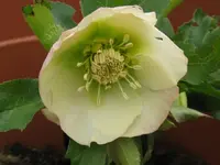 001_1024x768.webp
