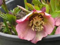 003_1024x768.webp