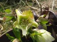 005_1024x768.webp