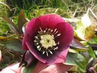 006_1024x768.webp